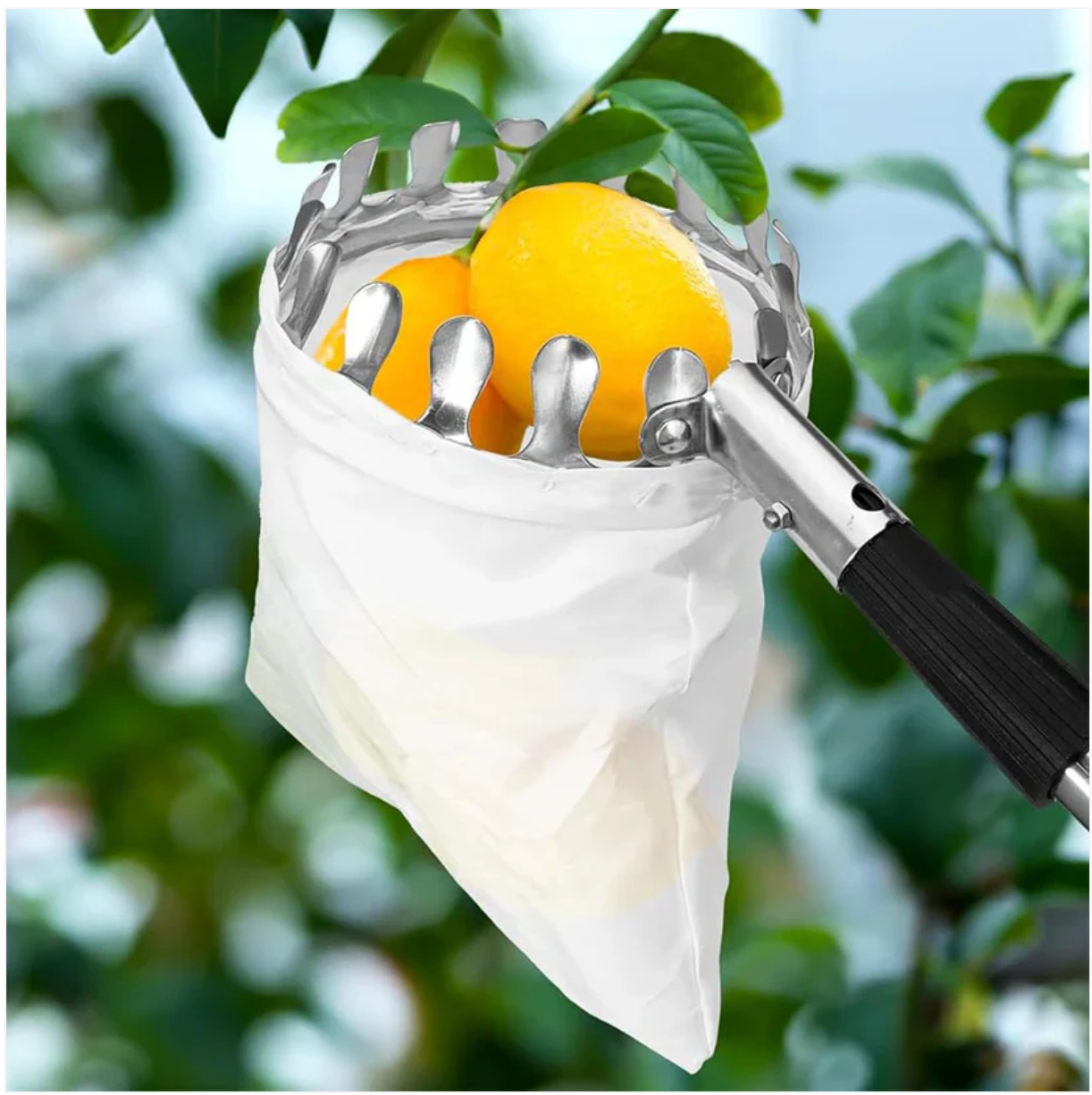 Fruit Picker Basket Tool 🍎