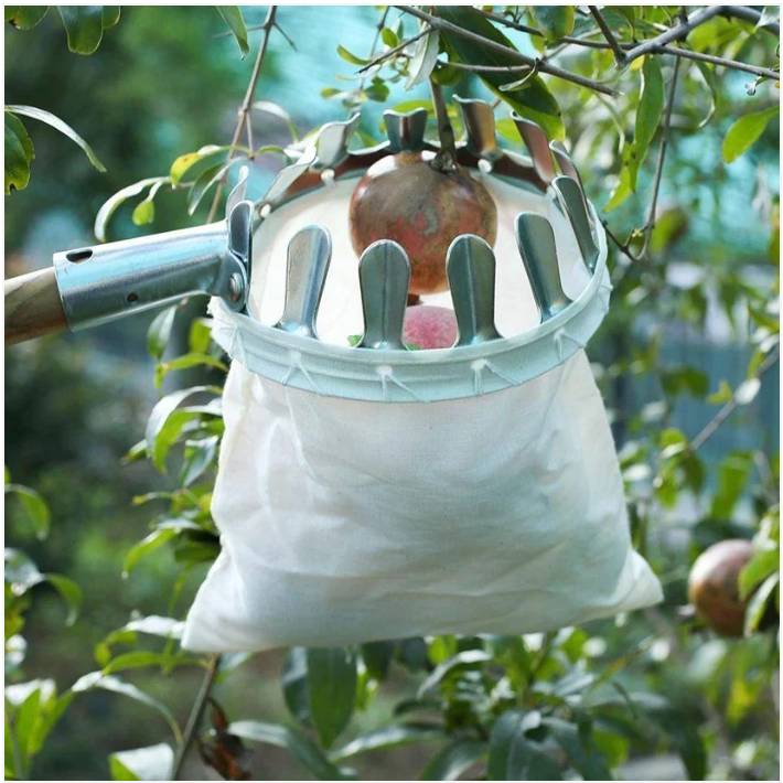 Fruit Picker Basket Tool 🍎