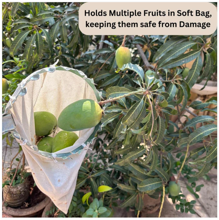 Fruit Picker Basket Tool 🍎