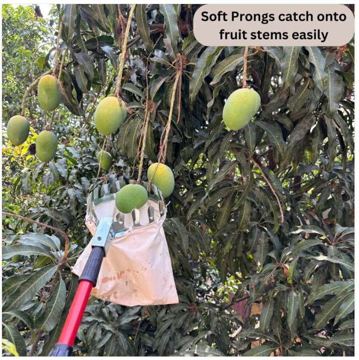 Fruit Picker Basket Tool 🍎