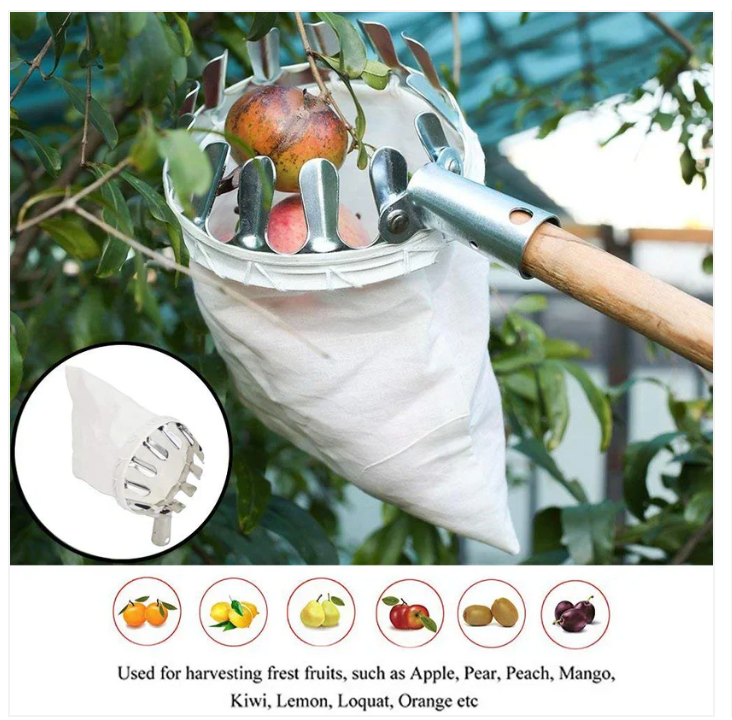 Fruit Picker Basket Tool 🍎